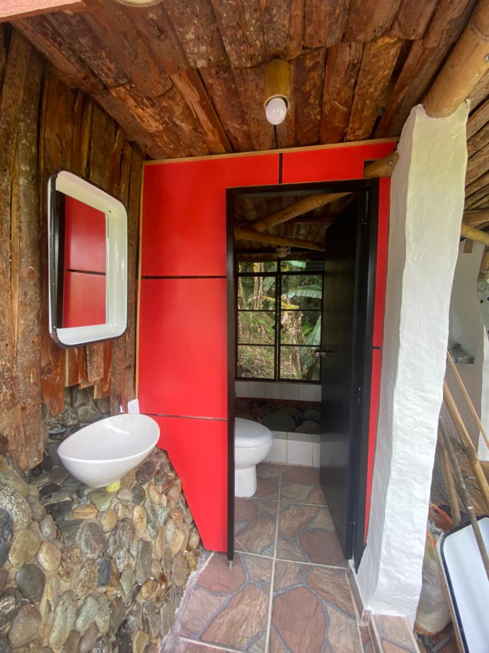 Vista lateral orgánica